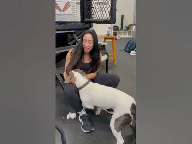 Video thumbnail for Dogs rule humans drool. #gymlife #doglover #donttalktome #mma