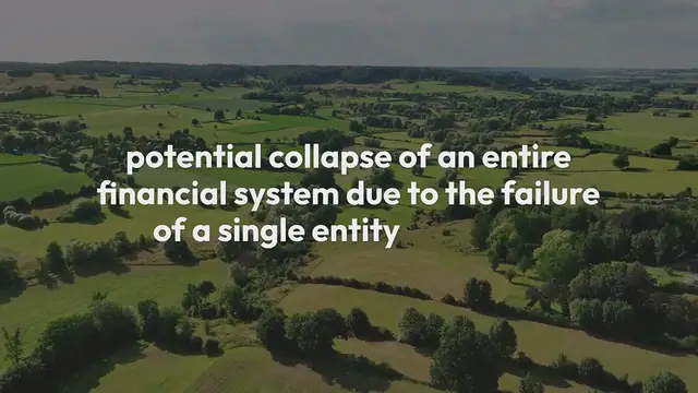 Video thumbnail for The Role of Financial Stability in Reducing Systemic Risk