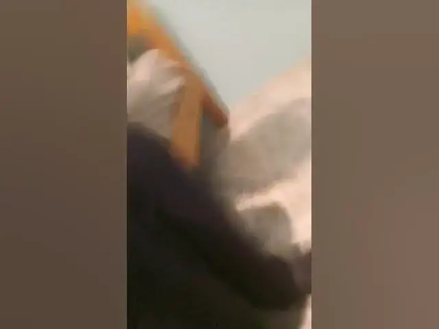 Video thumbnail for #steakwad