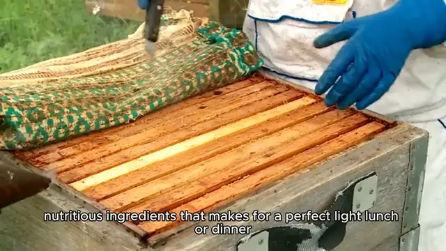 Video thumbnail for salmon salad recipe