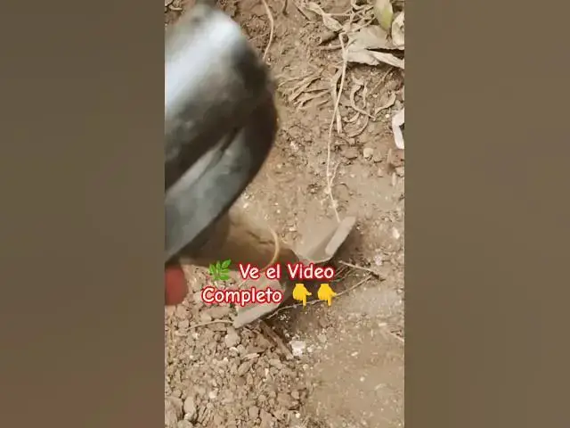 Video thumbnail for JUST DO IT😎 🌿 Tutorial Árboles.🫣😅🔥#plakarq #tutorial #plantas #garden