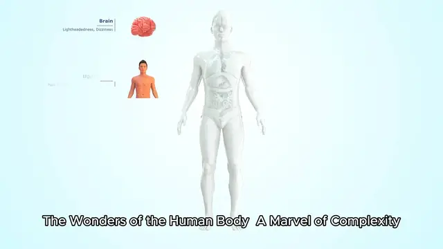Video thumbnail for The Wonders of the Human Body