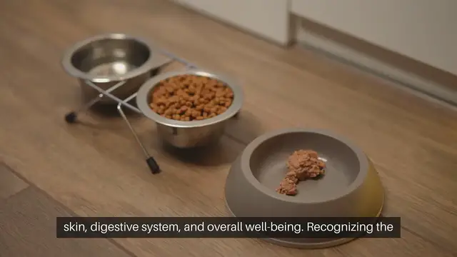 Video thumbnail for Cat Food Allergy Symptoms