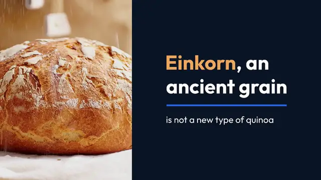 Video thumbnail for Einkorn Flour Tortillas: A Nutritious Twist on a Classic Favorite