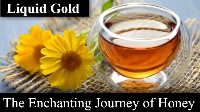 Video thumbnail for Liquid Gold: The Enchanting Journey of Honey