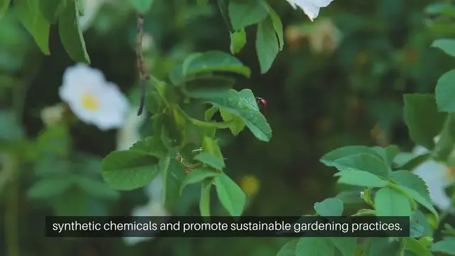 Video thumbnail for Advanced Techniques for Organic Pest Control