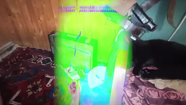 Video thumbnail for 1000205977.mp4