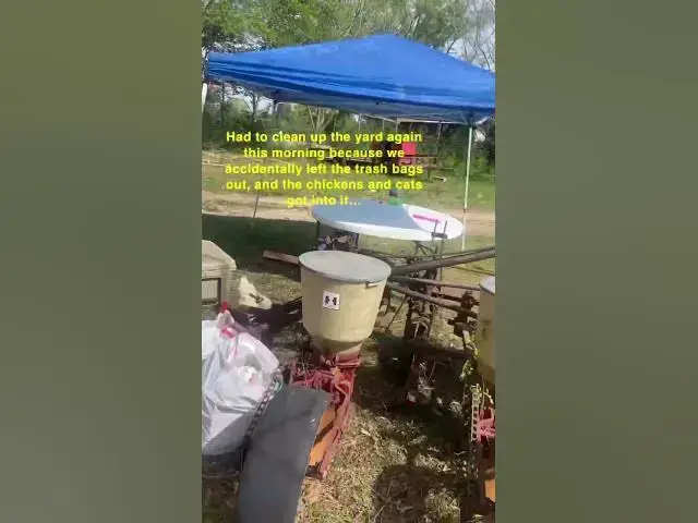 Video thumbnail for It coulda been worse, though 🤷🏻‍♀️ #CleanUp #BirthdayParty #Chickens #Cats #Group7