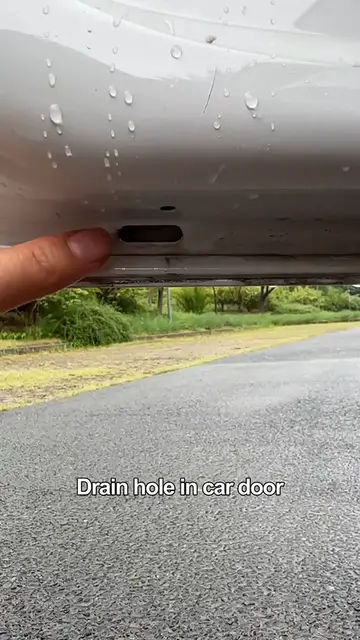 Video thumbnail for Be sure to clean these 5 drainage holes before the rainy season