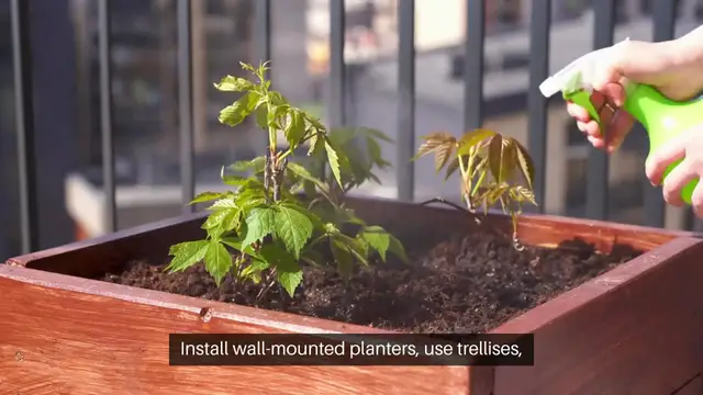 Video thumbnail for Urban Gardening Solutions