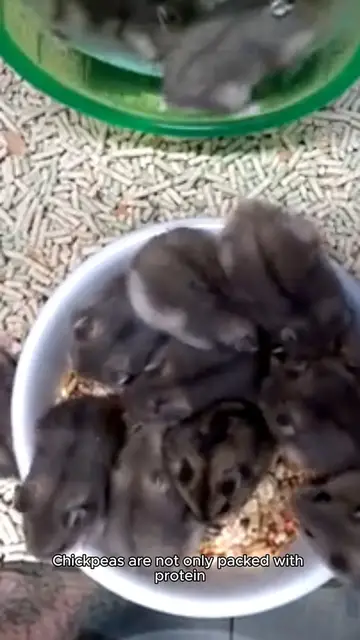 Video thumbnail for Chickpea masala recipe