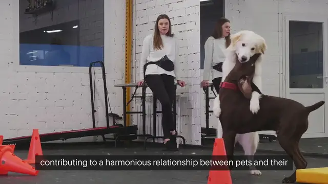 Video thumbnail for Pet Training And Behavior