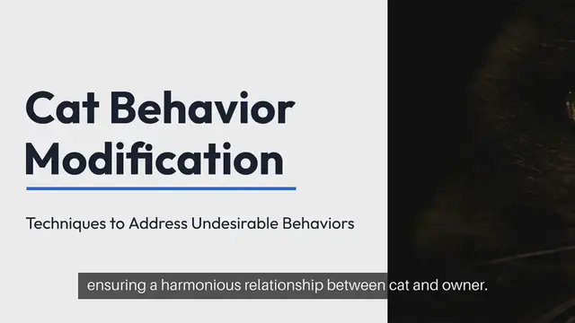 Video thumbnail for Cat Behavior Modification