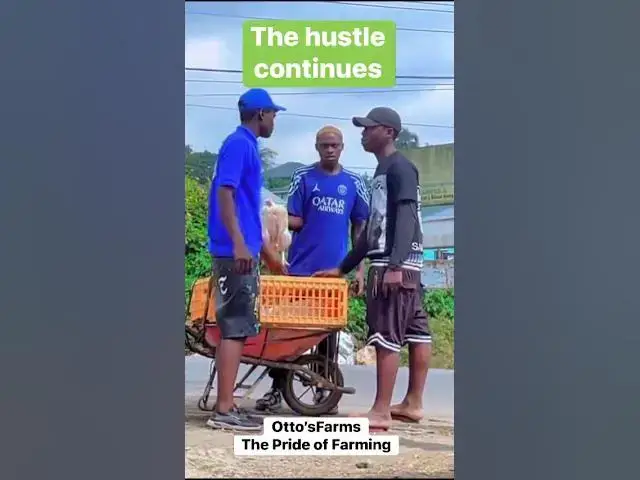 Video thumbnail for 💪🐔 The Hustle Continues