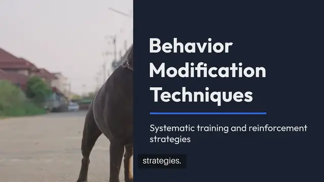 Video thumbnail for Behavior Modification Techniques