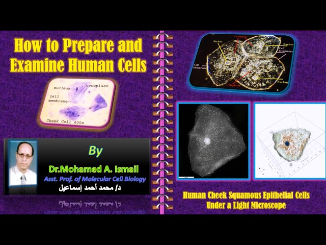 Video thumbnail for How to prepare human cells and detect the most dangerous diseases in an easyأفحص خلاياك لكشف الأمراض