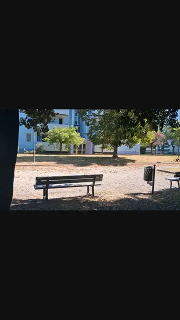 Video thumbnail for 1000009506.mp4