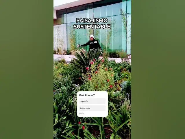 Video thumbnail for 🔥Diseñamos tu JARDÍN. Paisajismo México Plakarq Shop. #jardineria #paisajismo #plakarqshop