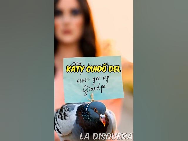 Video thumbnail for Sabías que Katy Perry en un pueblo rural descubrió a un palomo mensajero herido con