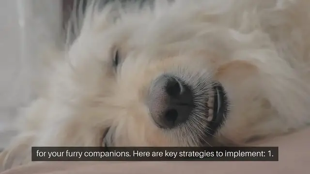 Video thumbnail for Pet Safe Security Measures Guide