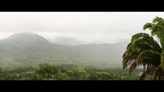 Video thumbnail for Plazas de Mercado_ Recampesinización Gastronómica.mp4