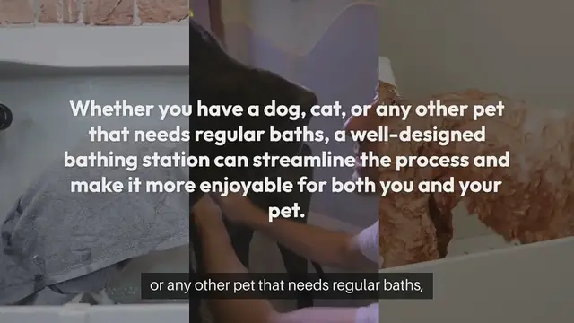 Video thumbnail for Creating a Pet Bathing Station