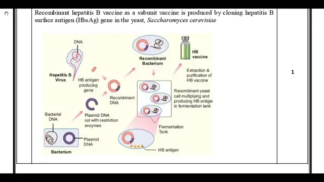 Video thumbnail for 12th Zoology 2nd MidTerm Answer Keys 2019-20 | Namakkal District | English Medium