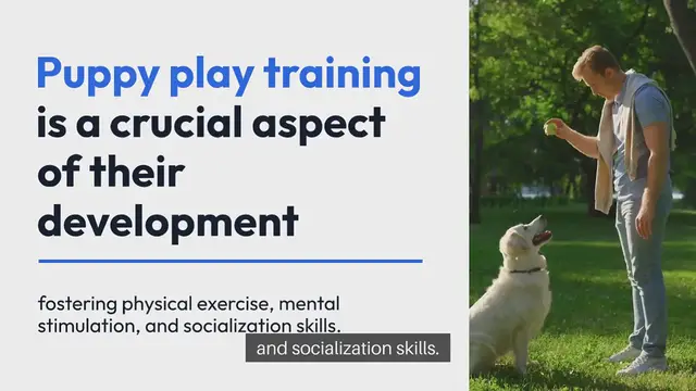 Video thumbnail for Puppy Play Training