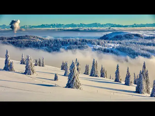 Video thumbnail for For everything there is a season, and a time for every matter under heaven.