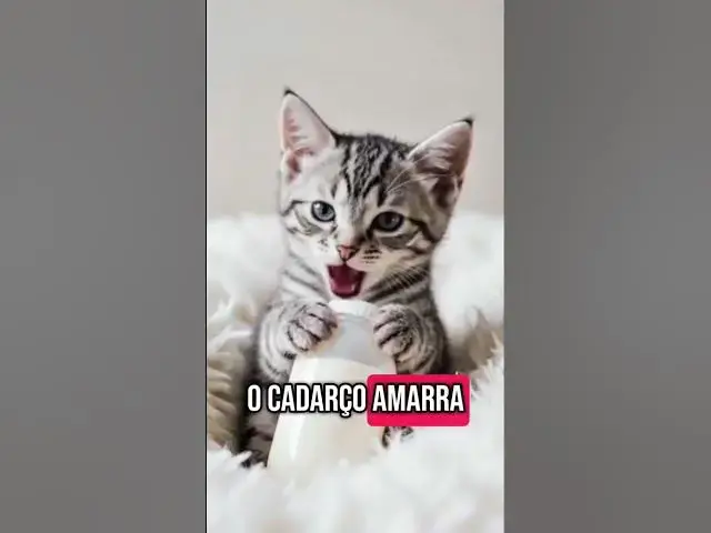 Video thumbnail for Vem si descontrair comigo #pets #ia