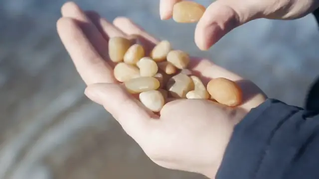 Video thumbnail for Understanding Kidney Stones: A Rocky Adventure in Your Body