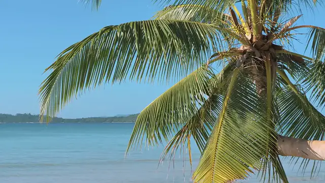 Video thumbnail for Coconut Margarita: A Tropical Twist on a Classic Cocktail