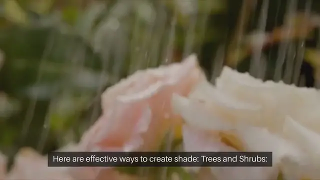 Video thumbnail for Adding Shade to Your Garden