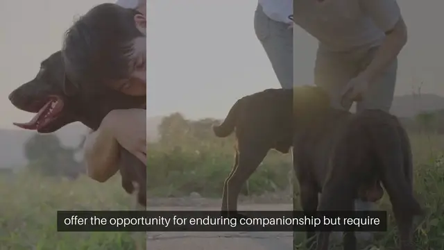 Video thumbnail for Long-lived Pets