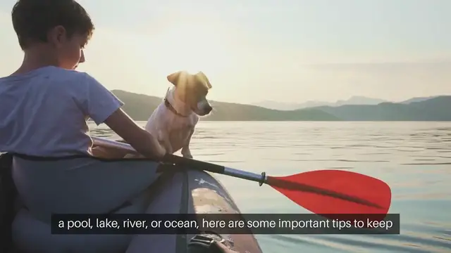 Video thumbnail for Pet Water Safety