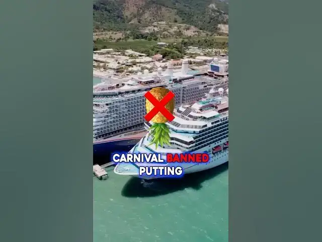 'Video thumbnail for Cruise Door Decorations Bans Ramped Up #shorts'