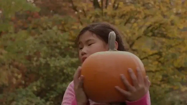 Video thumbnail for THE Pumpkin Patch Challenge: A Tale of Guts and Glory