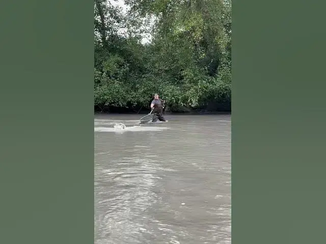 'Video thumbnail for The struggle is so real. Trying to land a fish when the leader is longer than your arms is a problem'