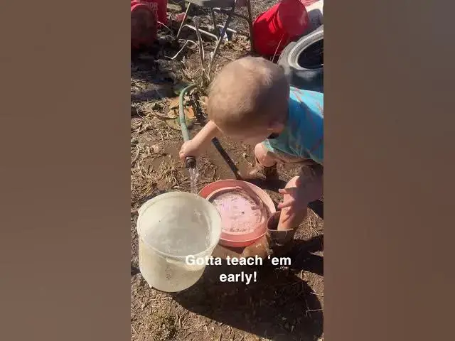 Video thumbnail for And so the cycle continues… #Toddler #Waterer #Refill #FarmThings #Group7