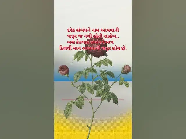 Video thumbnail for દરેક સંબંધને નામ આપવાની જરૂર જ નથી હોતી સાહેબ..@ashvinjoshi1393 #shorts#trebding