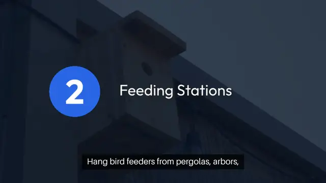 Video thumbnail for Using Garden Structures for Bird Habitat