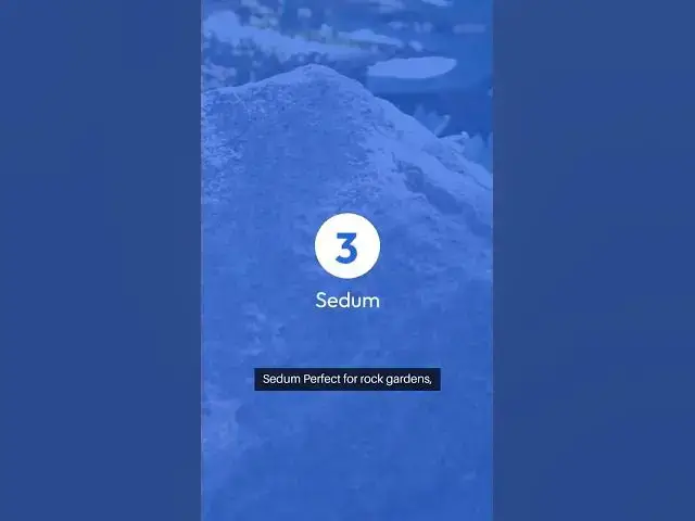 Video thumbnail for Hot Hardy Perennials  #GardenEssentials #Agastache #RussianSage #sedum  #LavenderLove #Lantana