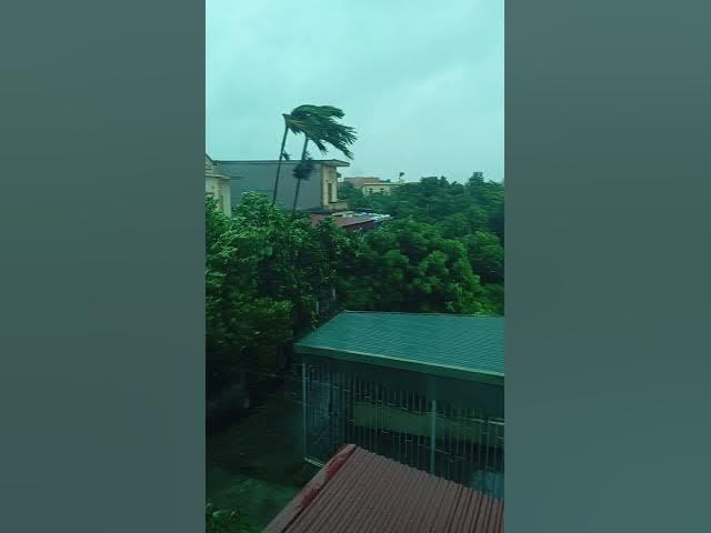 Video thumbnail for bão 2024