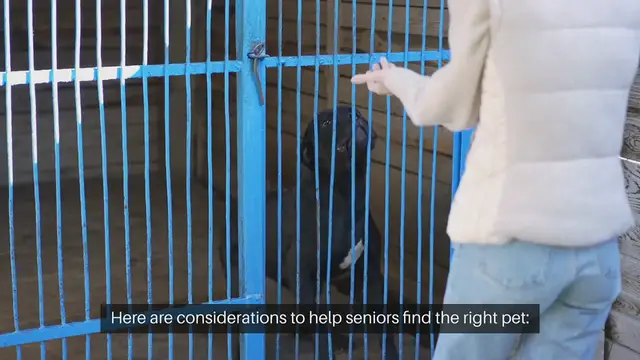 Video thumbnail for Choosing a Pet For Seniors