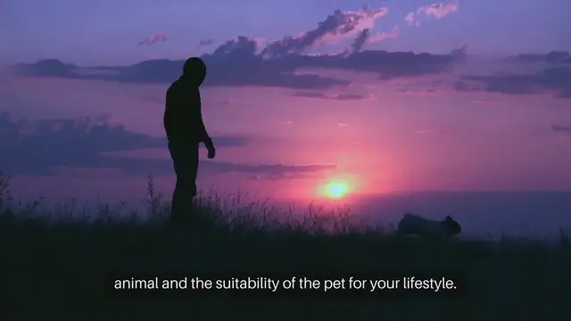 Video thumbnail for Things To Consider Before Getting A Pet