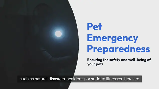 Video thumbnail for Pet Emergency Preparedness