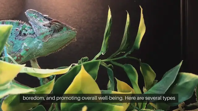 Video thumbnail for Pet Environmental Enrichment Toys