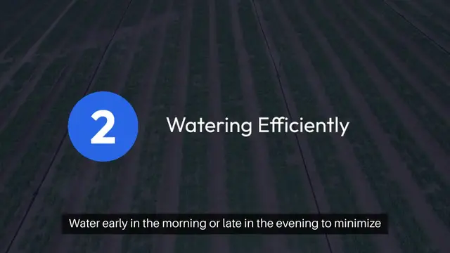 'Video thumbnail for Top Water Conservation Tips for Gardeners'