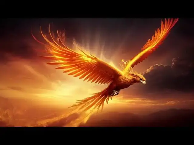 Video thumbnail for August 26, 2025