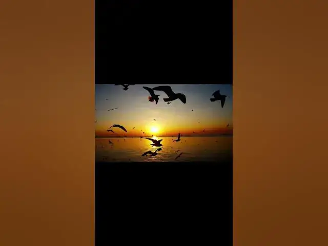 Video thumbnail for Find INNER PEACE with This Powerful Guided Visualization